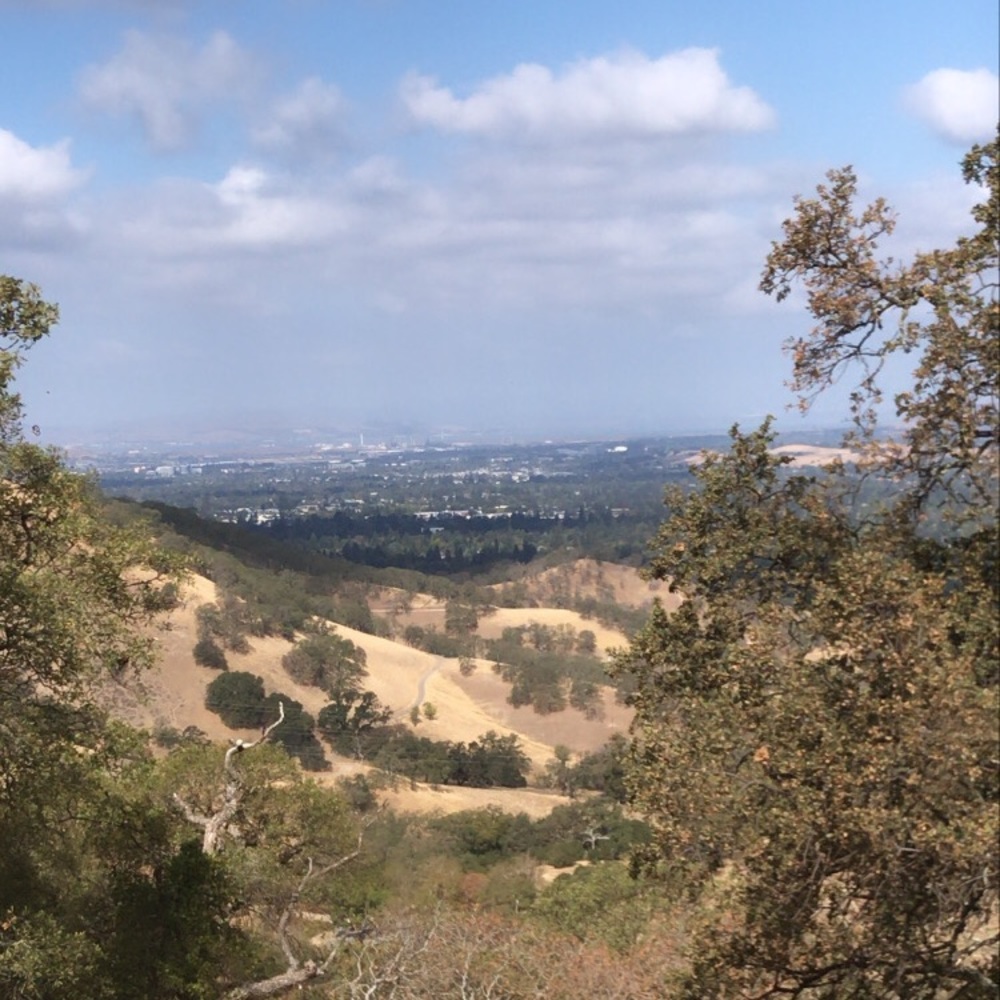 Meet your Posher, Alicia